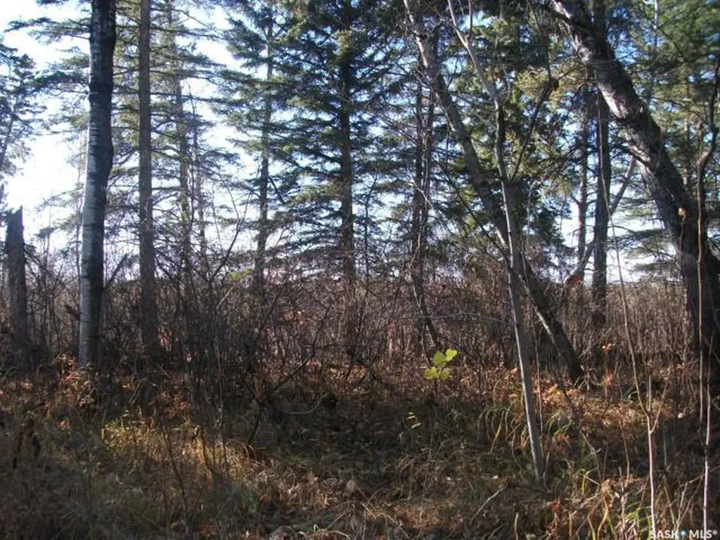Rural Address Hudson Bay Rm No. 394 SK S0E 0Y0