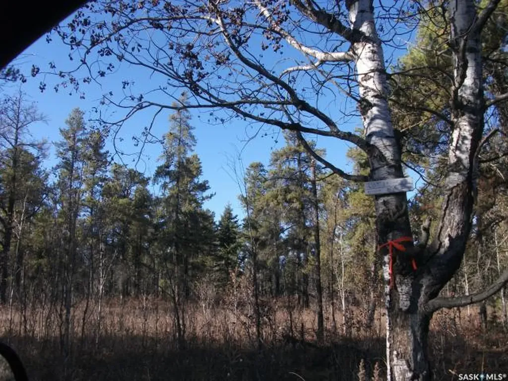 Rural Address Hudson Bay Rm No. 394 SK S0E 0Y0