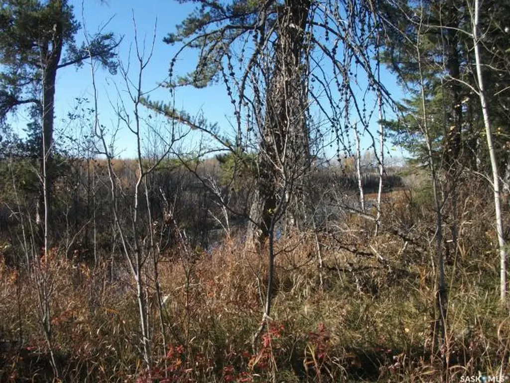 Rural Address Hudson Bay Rm No. 394 SK S0E 0Y0