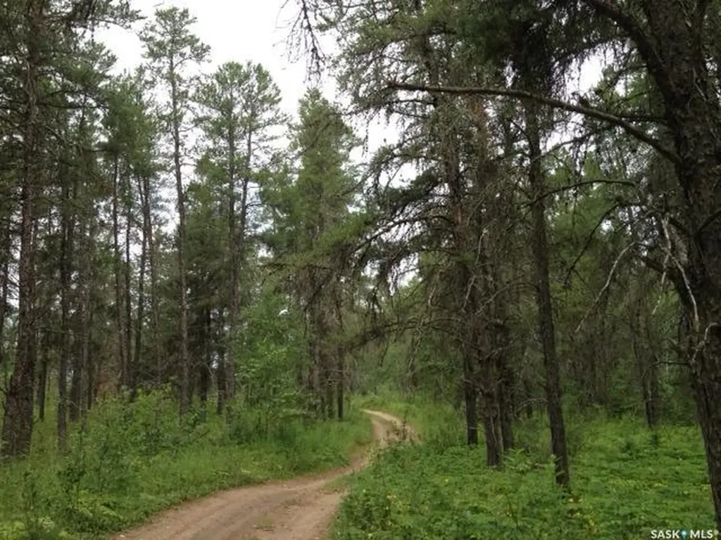 Rural Address Hudson Bay Rm No. 394 SK S0E 0Y0