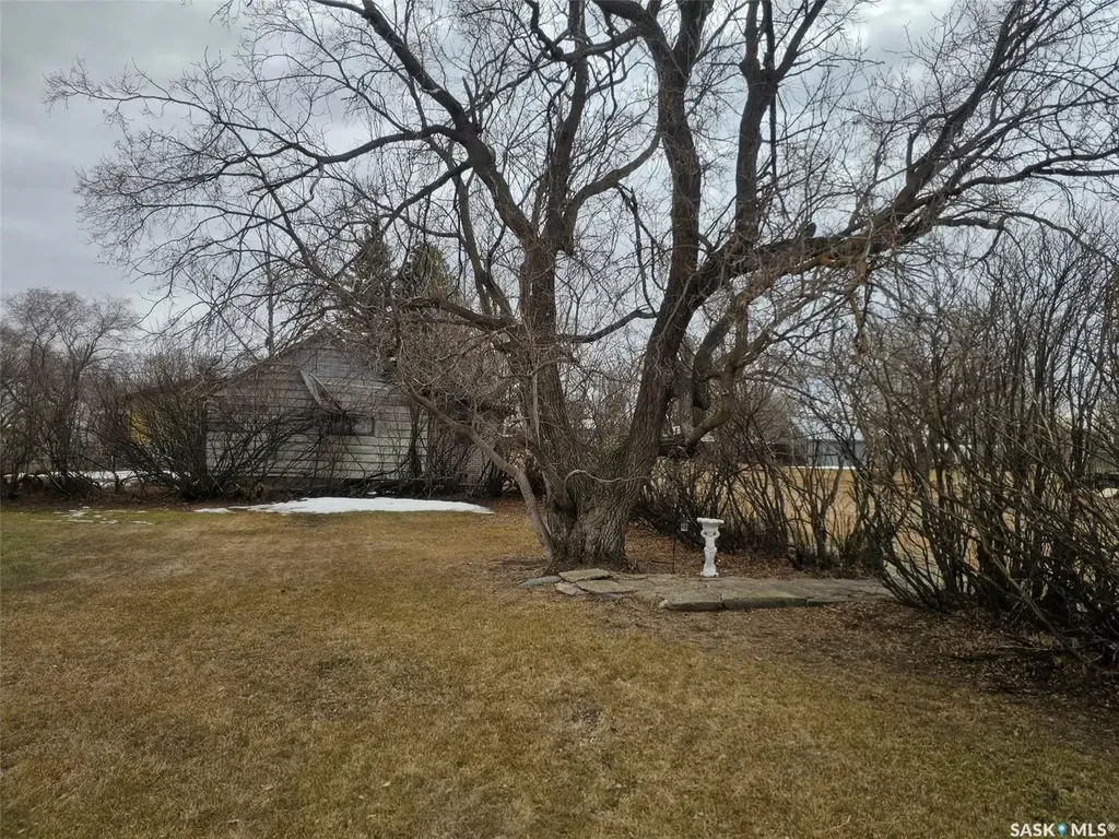 406 & 408 Mary Street Tramping Lake SK S0K 4H0