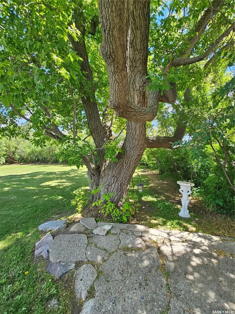 406 & 408 Mary Street Tramping Lake SK S0K 4H0