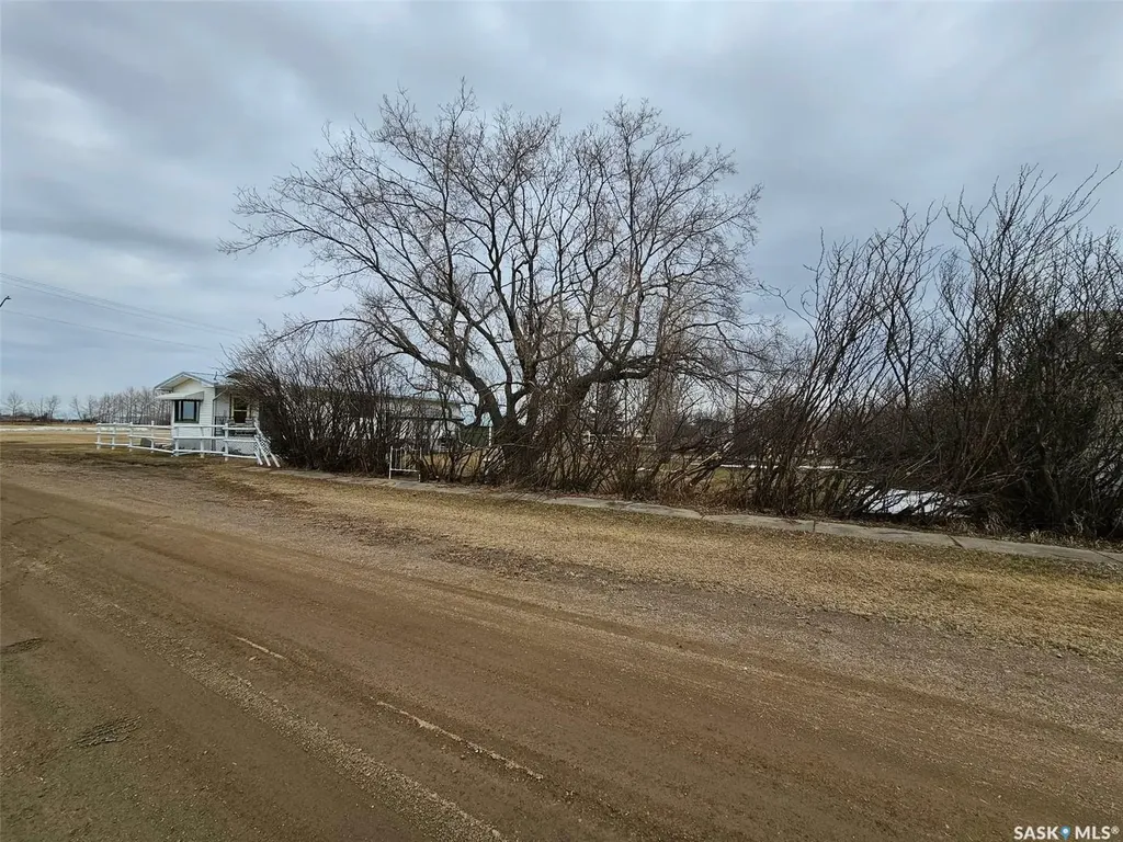 406 & 408 Mary Street Tramping Lake SK S0K 4H0