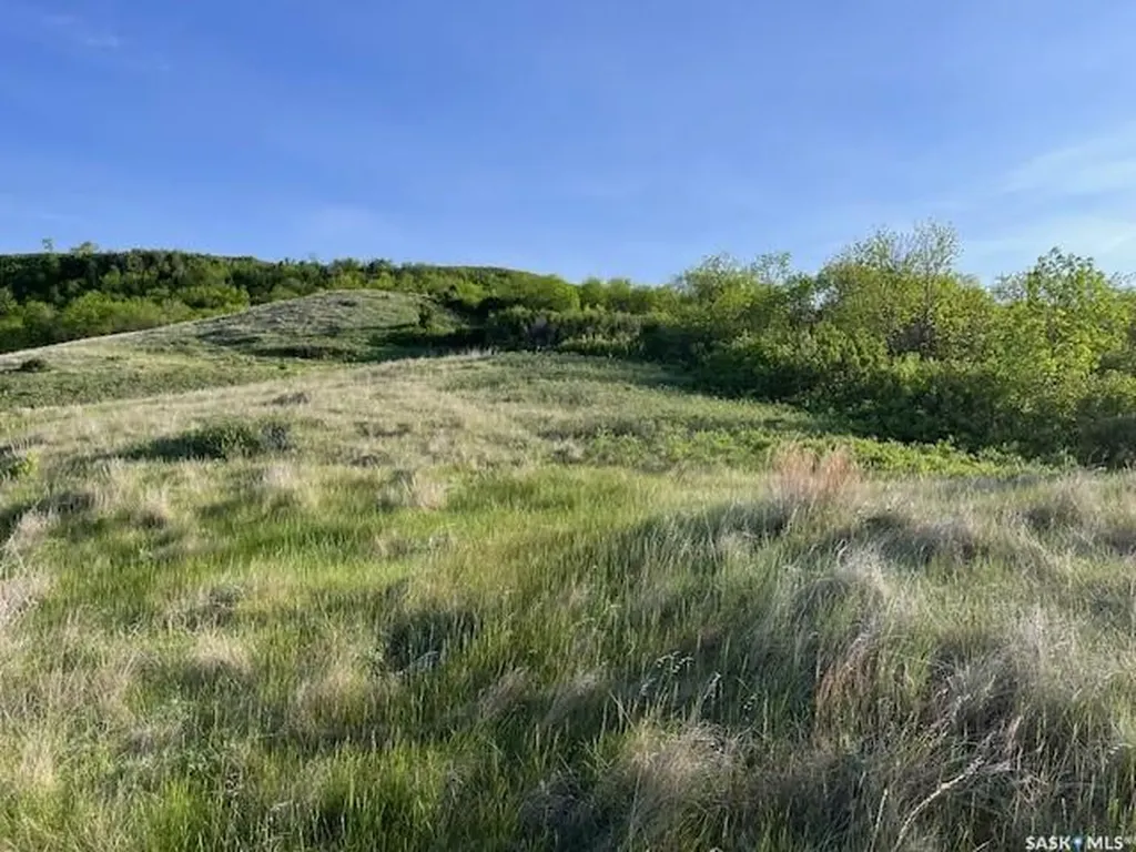 Rural Address South Lake SK S0H 4C0