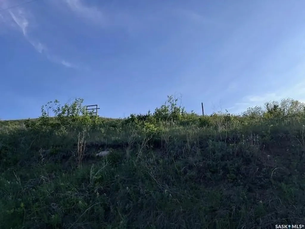 Rural Address South Lake SK S0H 4C0