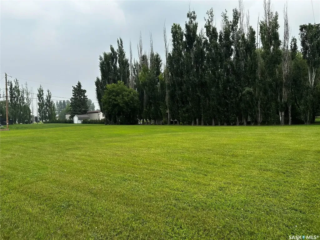 304 Road Avenue E Langenburg SK S0A 2A0