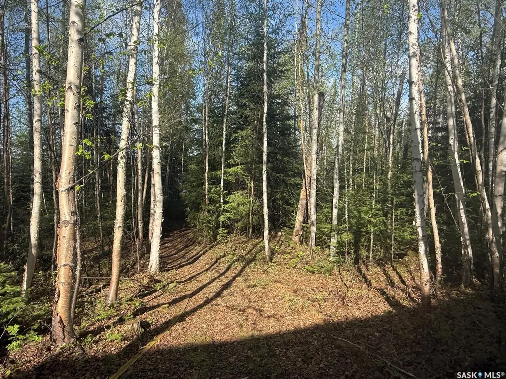 1604 Mahigan Crescent Northern Admin District SK S0J 1L0
