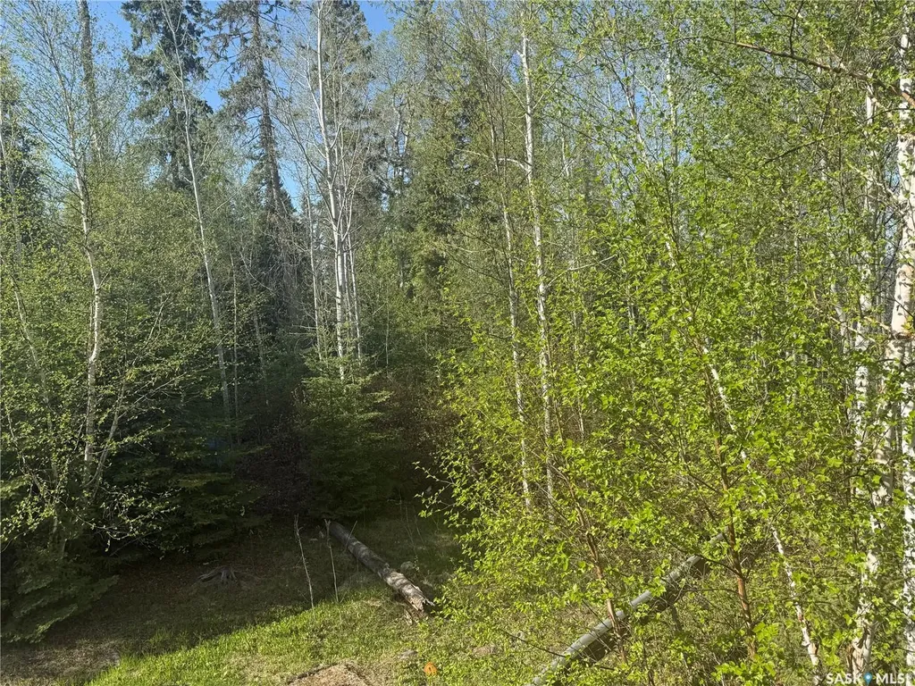 1604 Mahigan Crescent Northern Admin District SK S0J 1L0