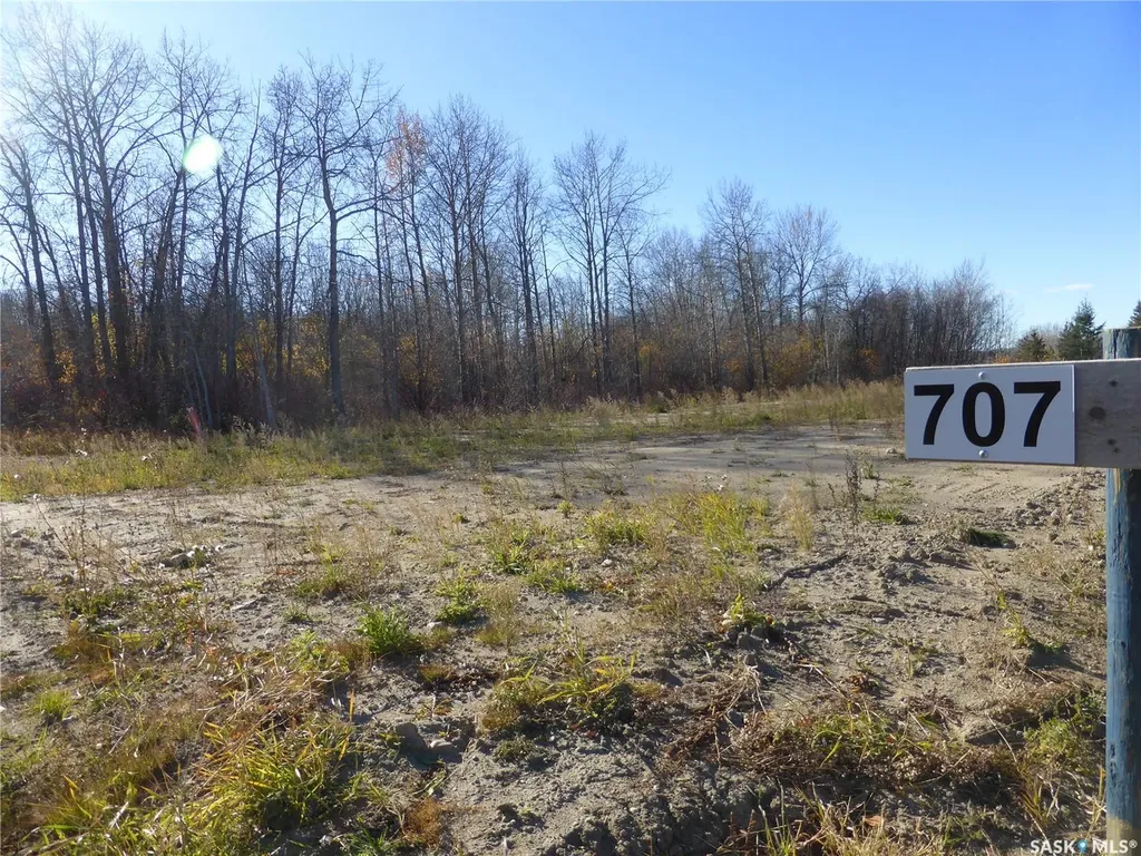 707 Willow Bay Mervin Rm No.499 SK S0M 0H0