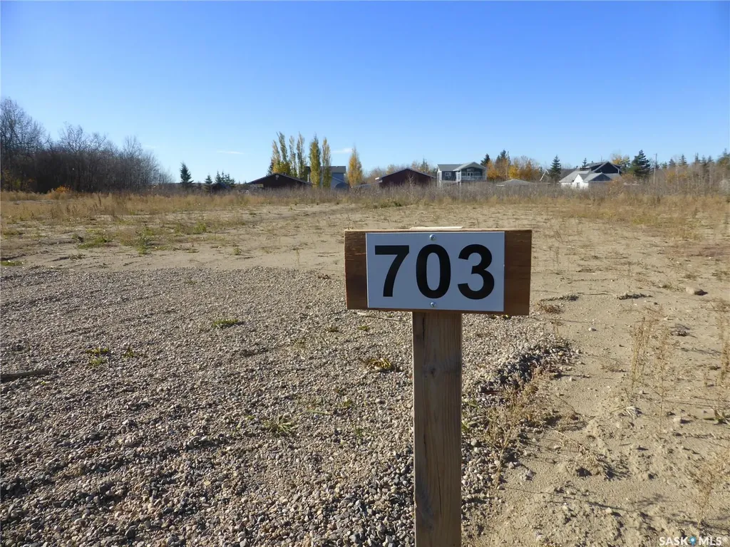 703 Willow Bay Mervin Rm No.499 SK S0M 0H0
