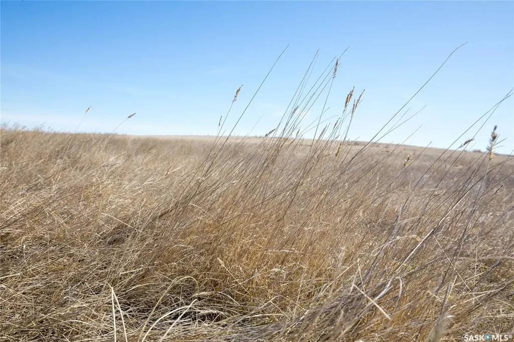 Rural Address Wheatlands Rm No. 163 SK S0H 3K0