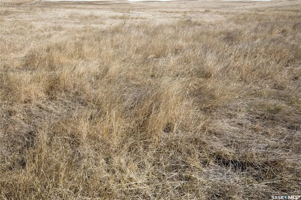 Rural Address Wheatlands Rm No. 163 SK S0H 3K0