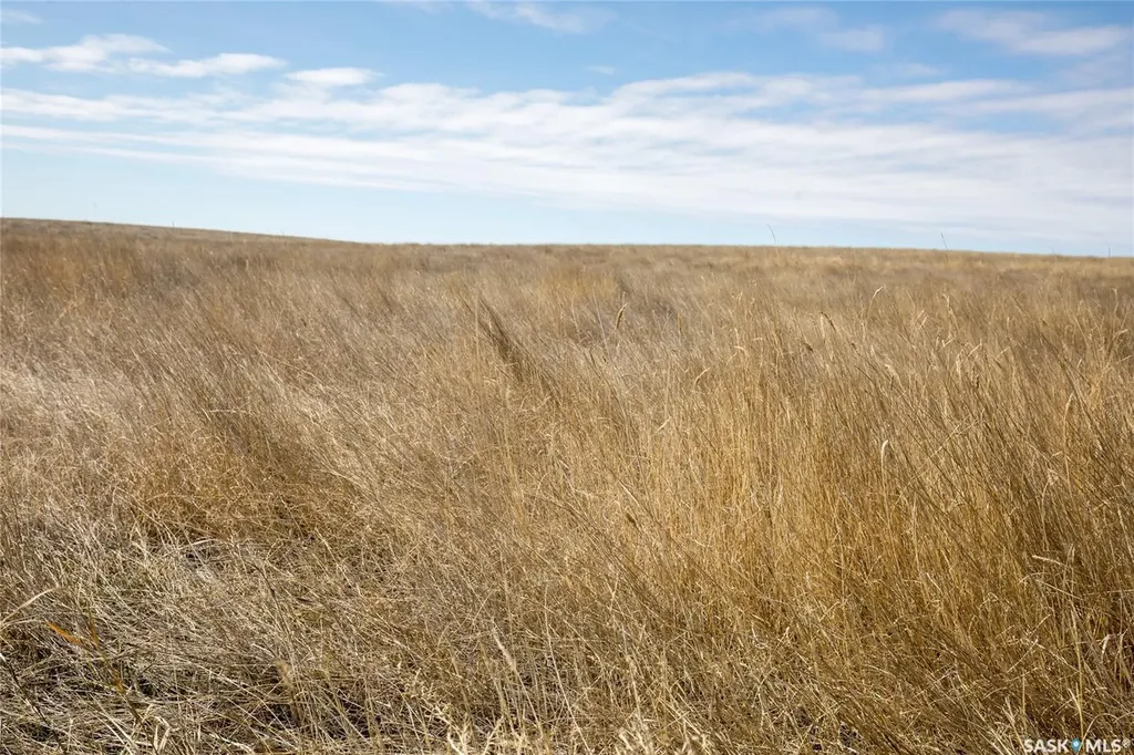 Rural Address Wheatlands Rm No. 163 SK S0H 3K0