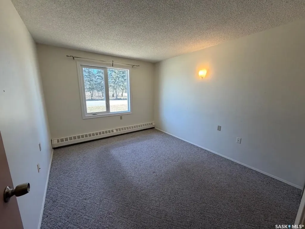704 Assiniboia Avenue Maryfield SK S0G 3K0
