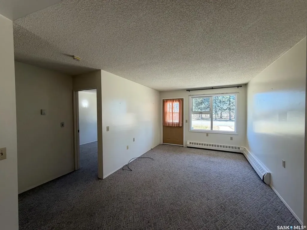 704 Assiniboia Avenue Maryfield SK S0G 3K0