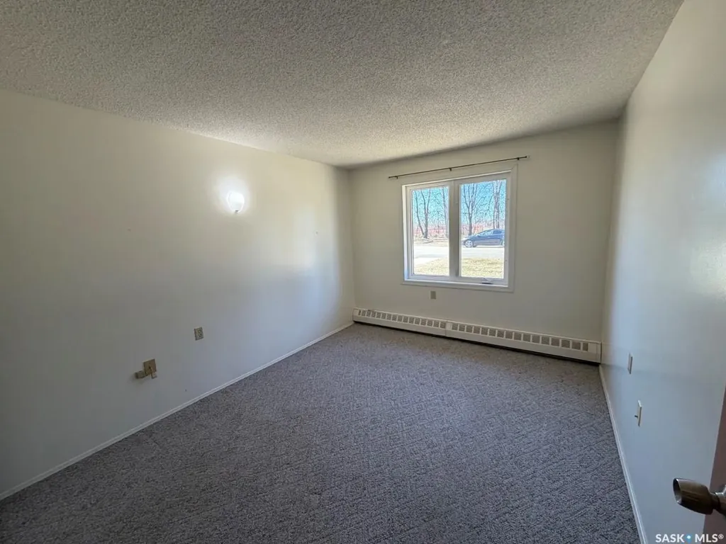 704 Assiniboia Avenue Maryfield SK S0G 3K0
