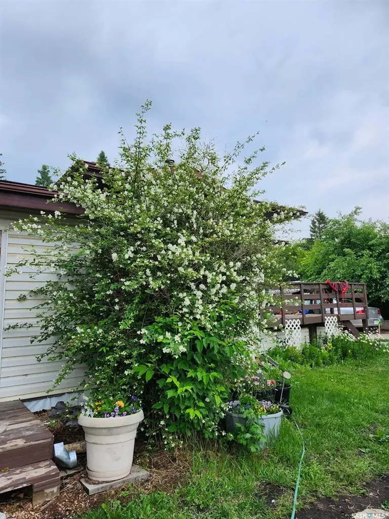 515 Duncan Drive Leask SK S0J 1M0