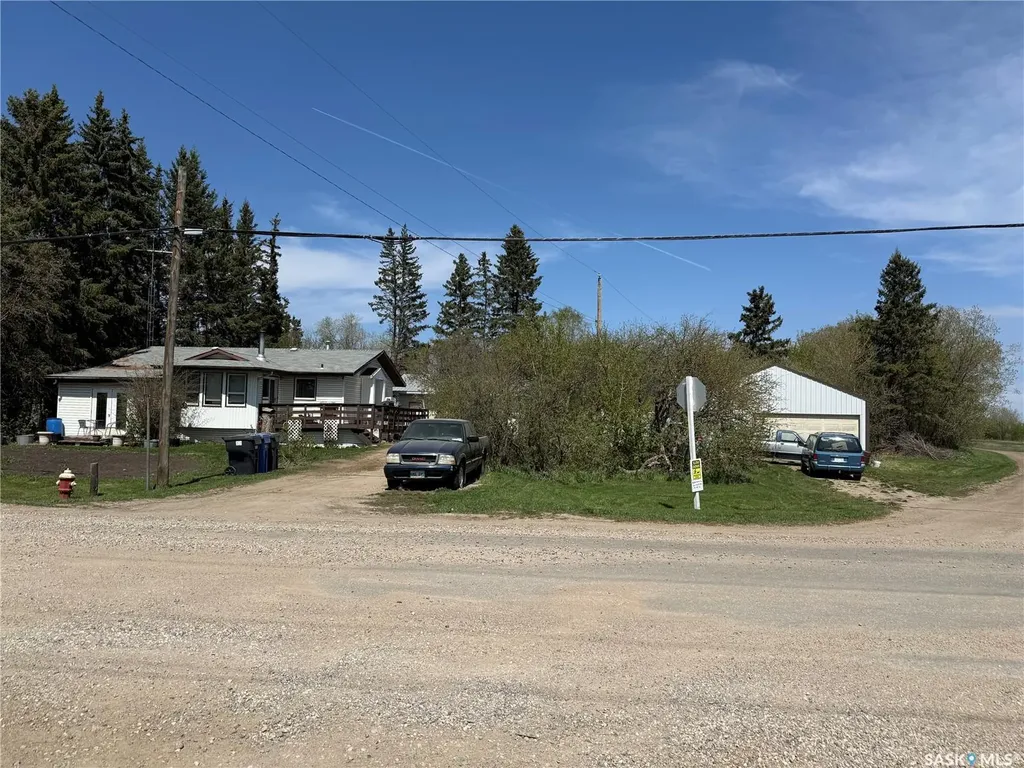 515 Duncan Drive Leask SK S0J 1M0