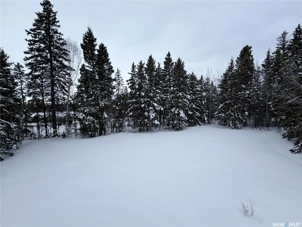 Rural Address Paddockwood Rm No. 520 SK S0J 0N0