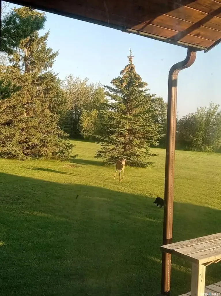 Rural Address Leask Rm No. 464 SK S0J 1M0