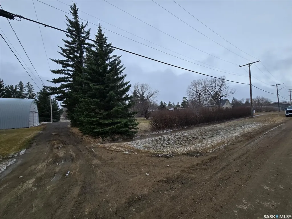 403 Assiniboia Avenue Sedley SK S0G 0J8