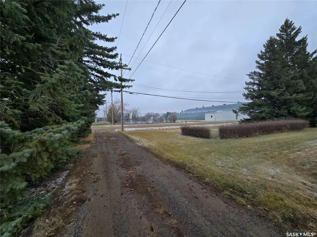 403 Assiniboia Avenue Sedley SK S0G 0J8