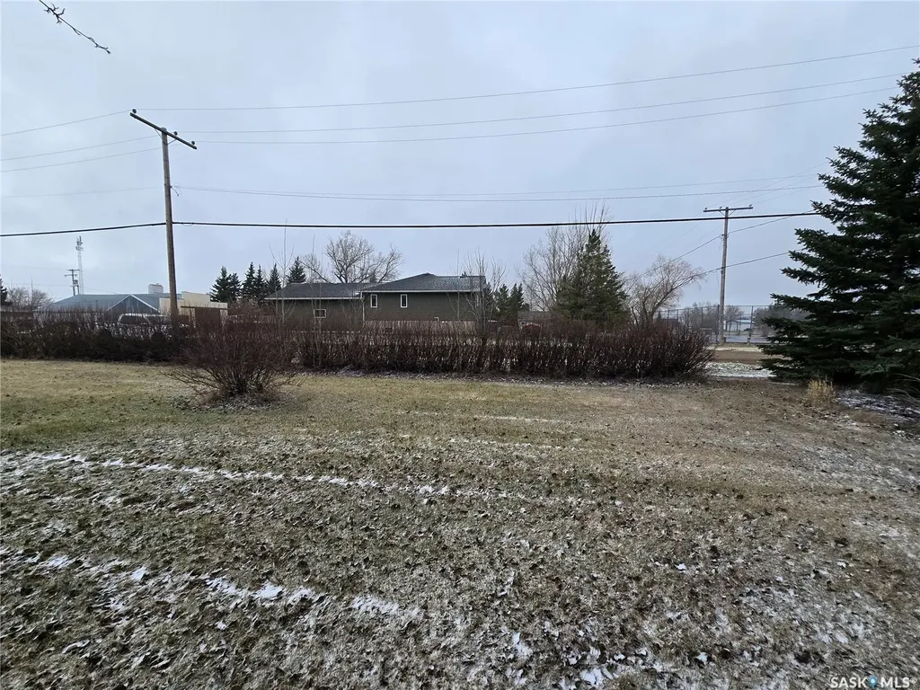 403 Assiniboia Avenue Sedley SK S0G 0J8