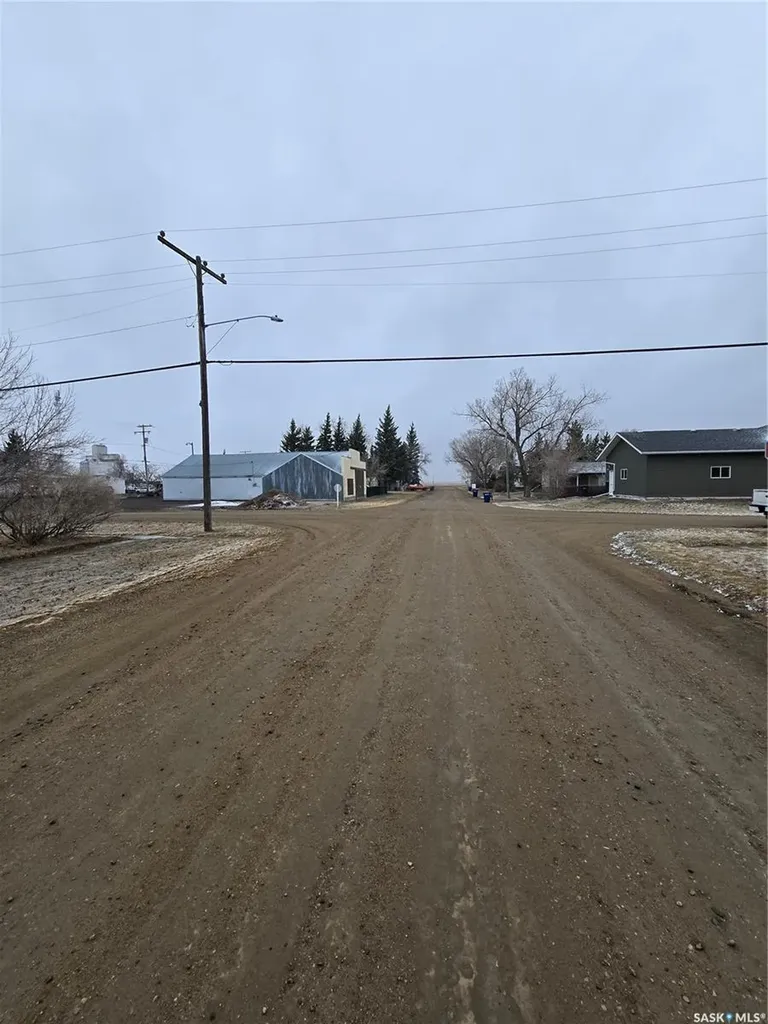 403 Assiniboia Avenue Sedley SK S0G 0J8