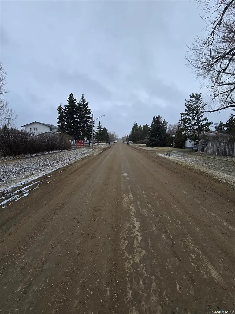 403 Assiniboia Avenue Sedley SK S0G 0J8