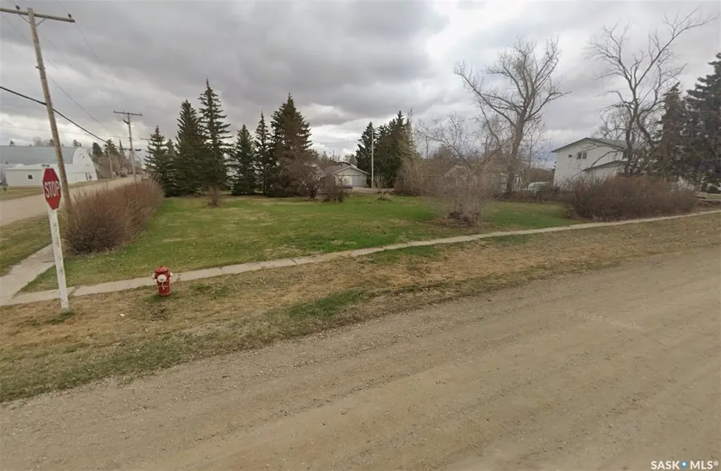 403 Assiniboia Avenue Sedley SK S0G 0J8