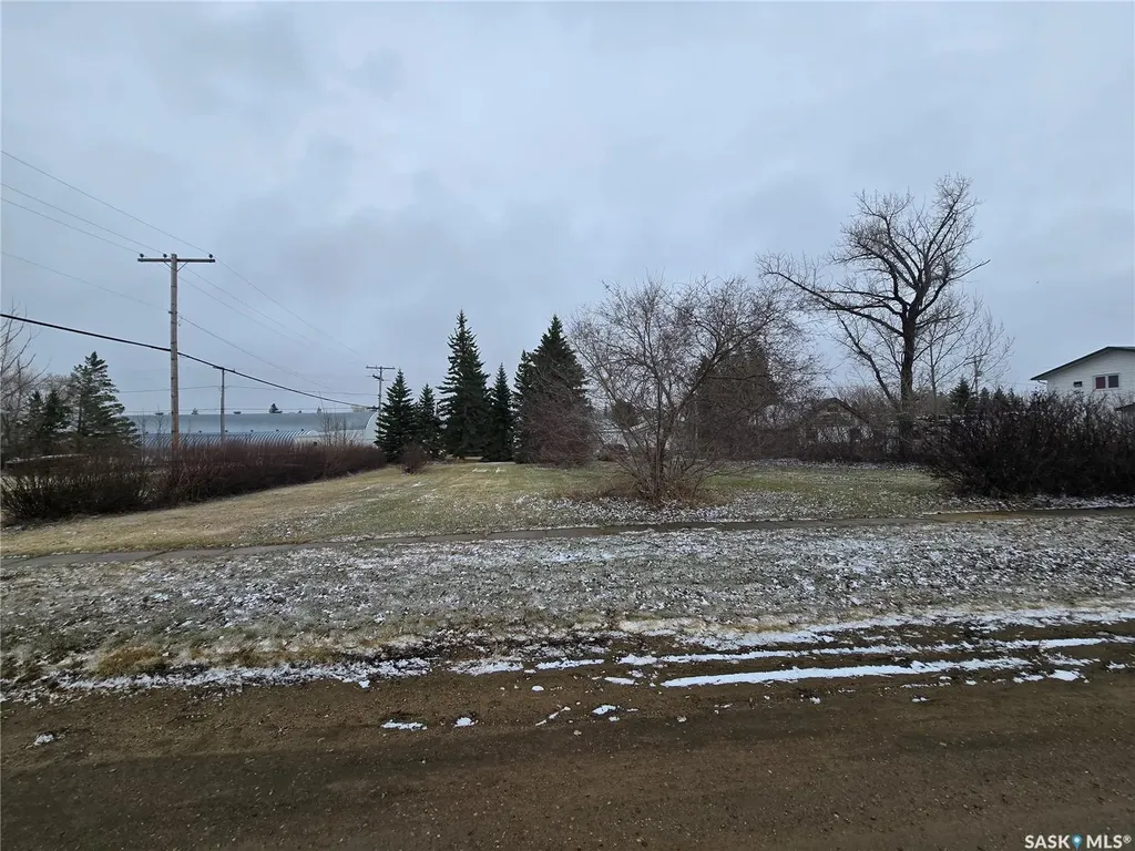 403 Assiniboia Avenue Sedley SK S0G 0J8