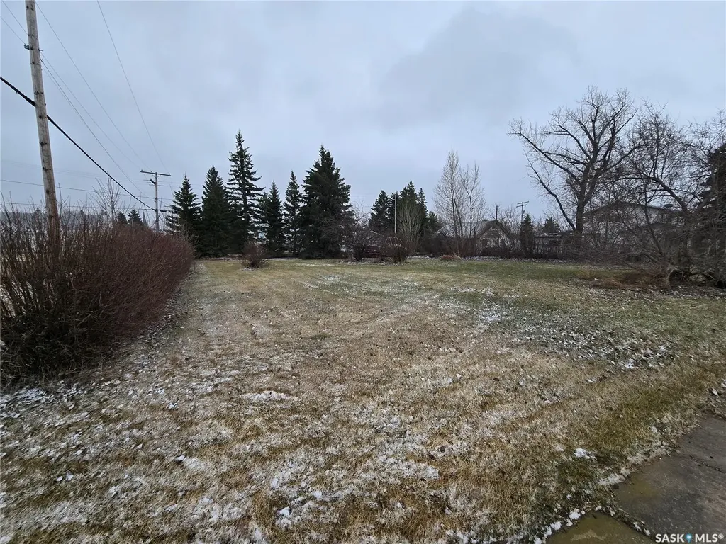 403 Assiniboia Avenue Sedley SK S0G 0J8
