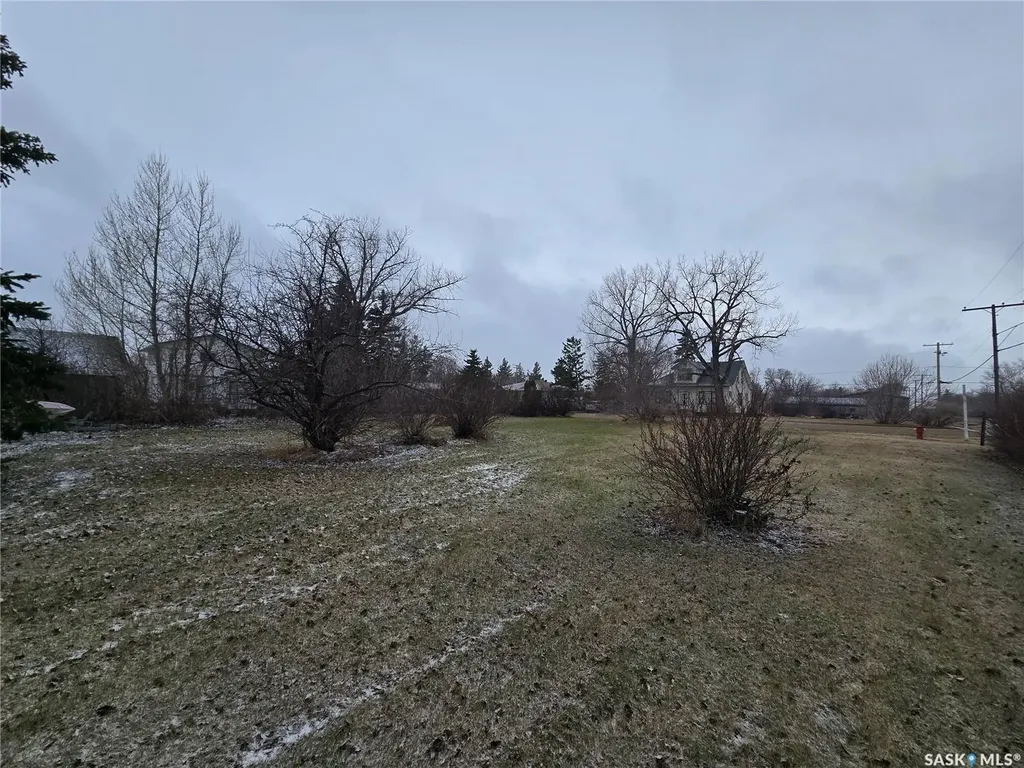 403 Assiniboia Avenue Sedley SK S0G 0J8