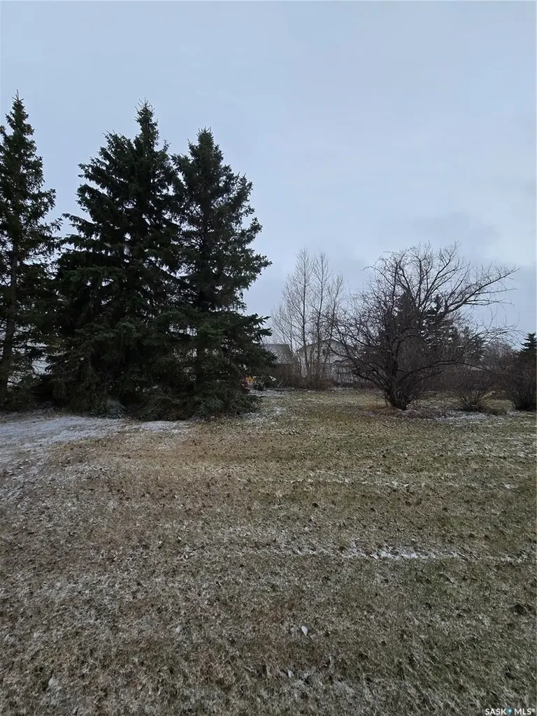 403 Assiniboia Avenue Sedley SK S0G 0J8