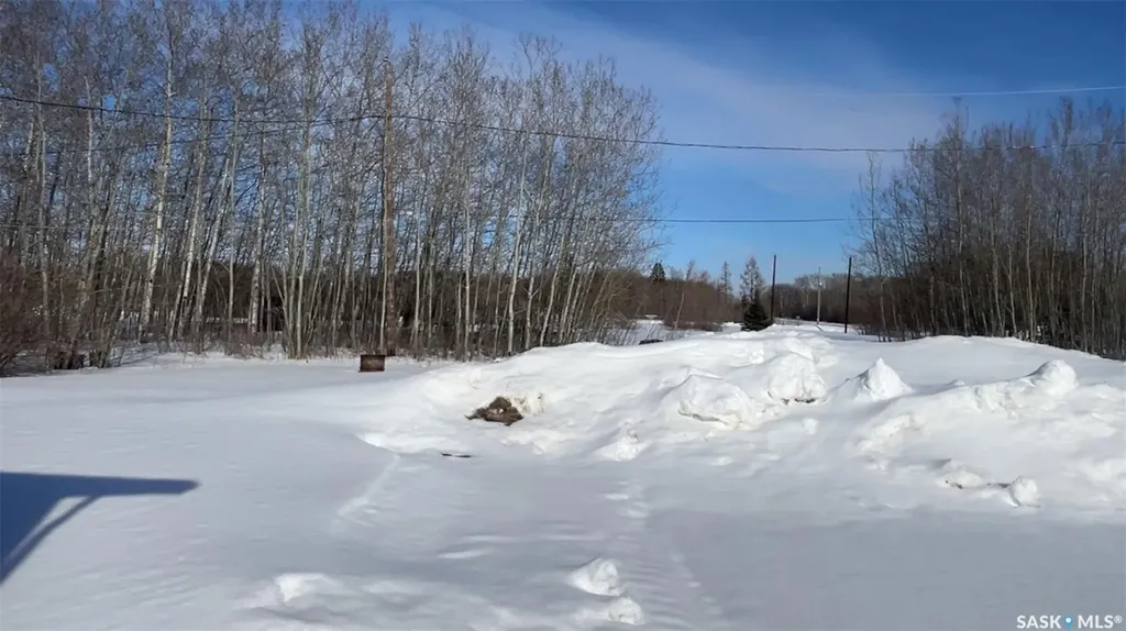 563 Birch Street Porcupine Rm No. 395 SK S0E 0K0