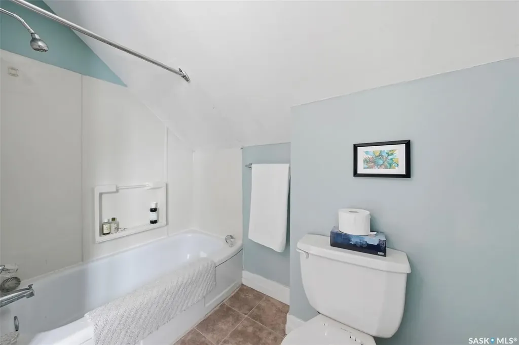46 Bellamy Avenue Birch Hills SK S0J 0G0
