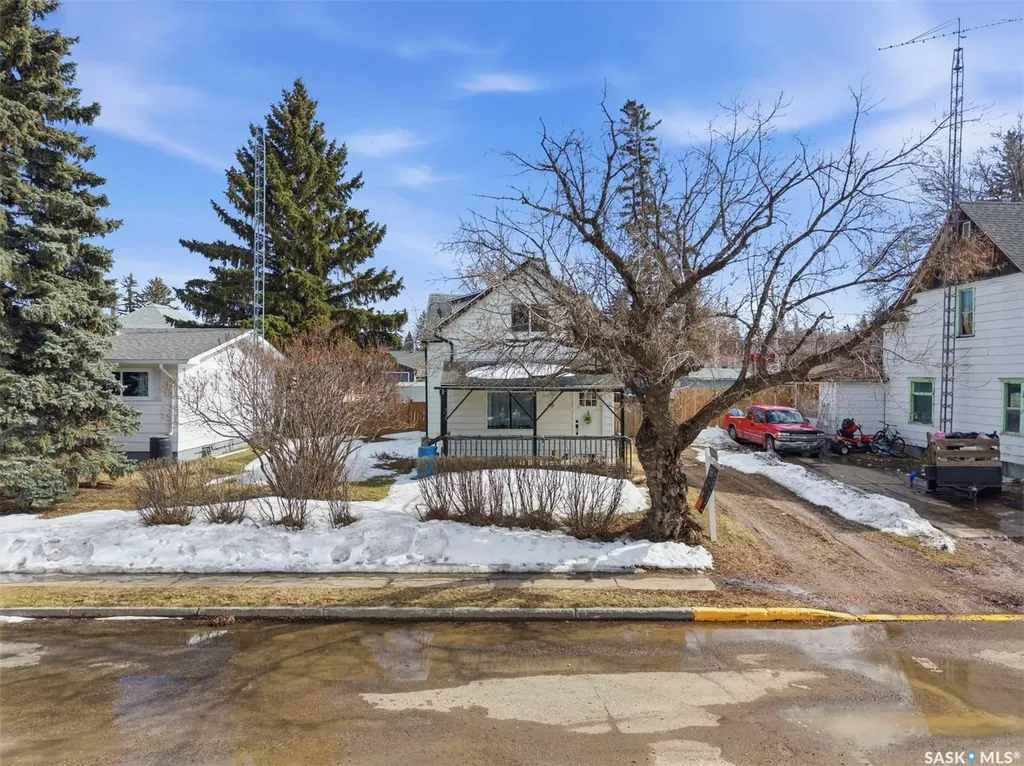 46 Bellamy Avenue Birch Hills SK S0J 0G0