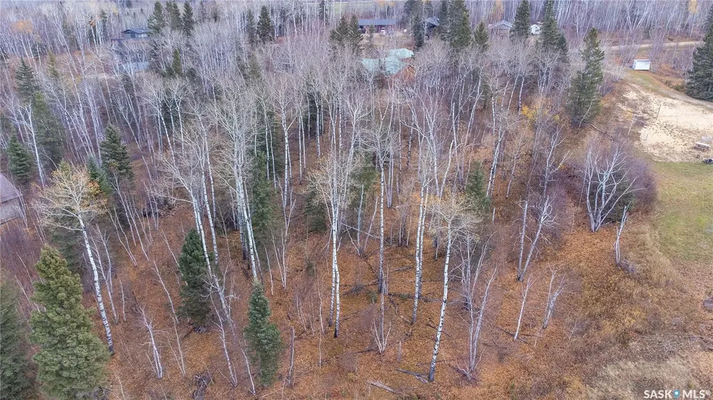 Rural Address Big River Rm No. 555 SK S0J 0E0