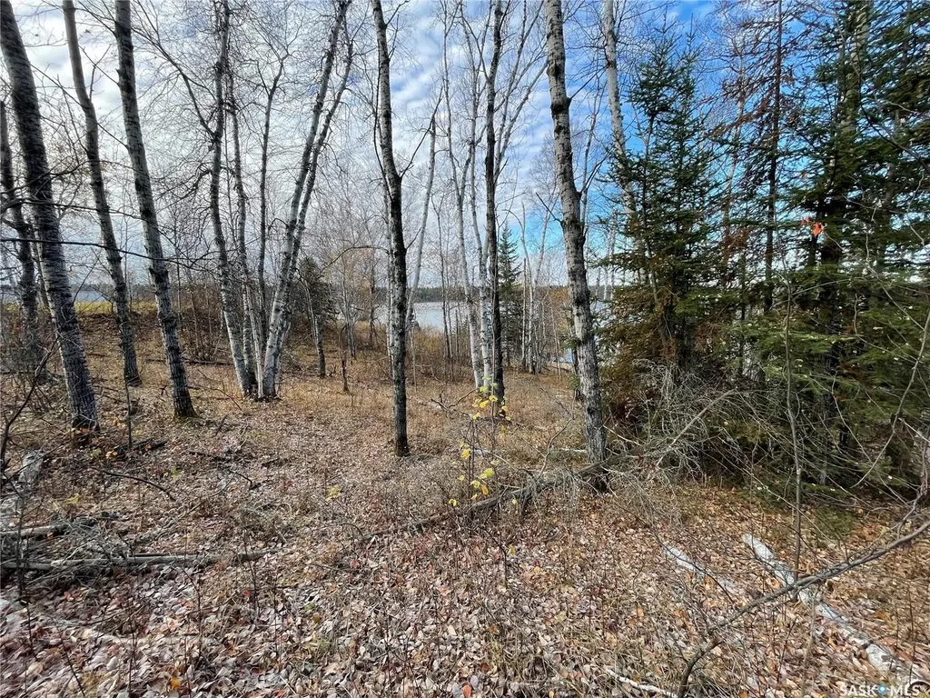 Rural Address Big River Rm No. 555 SK S0J 0E0