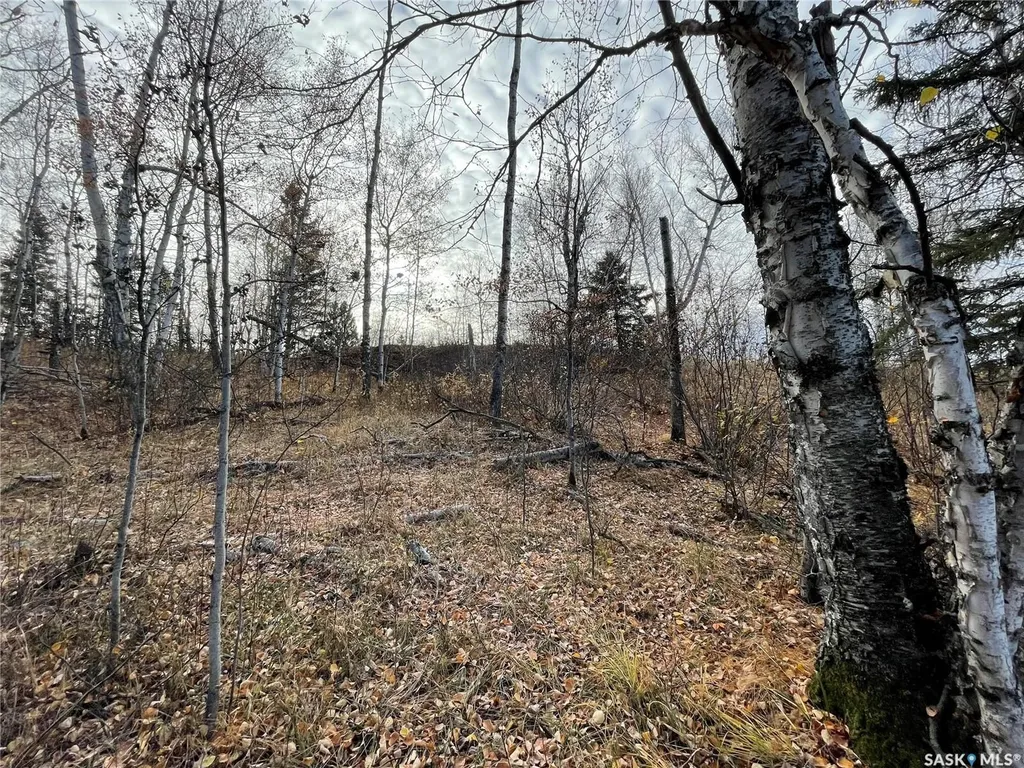 Rural Address Big River Rm No. 555 SK S0J 0E0