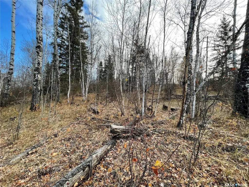 Rural Address Big River Rm No. 555 SK S0J 0E0
