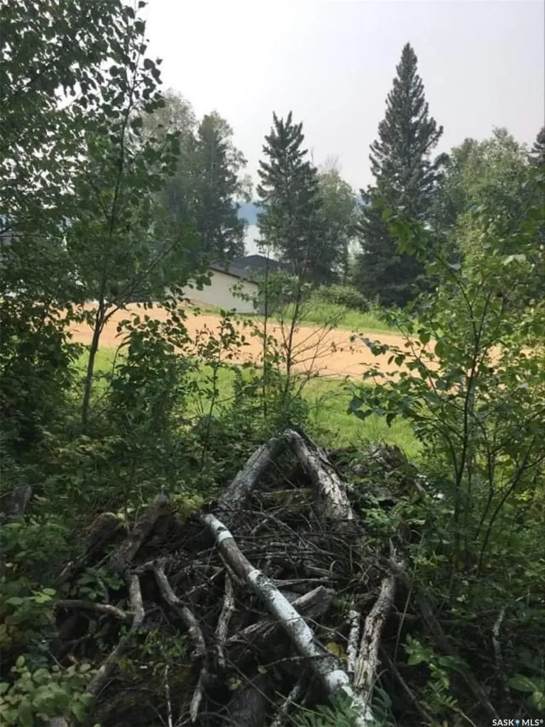 Rural Address Big River Rm No. 555 SK S0J 0E0