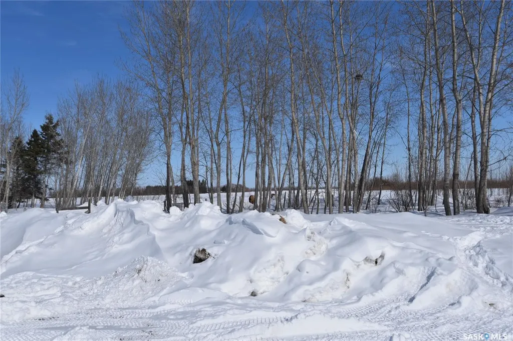 Rural Address Torch River Rm No. 488 SK S0E 1E0