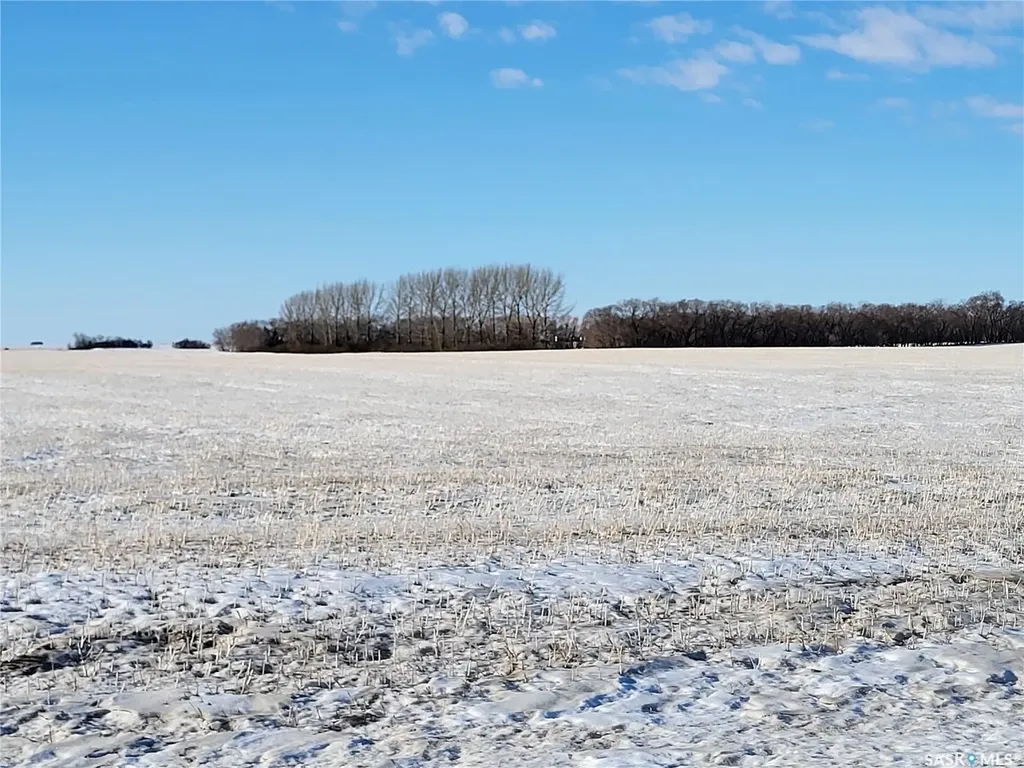 Rural Address Blucher Rm No. 343 SK S0K 0Y0