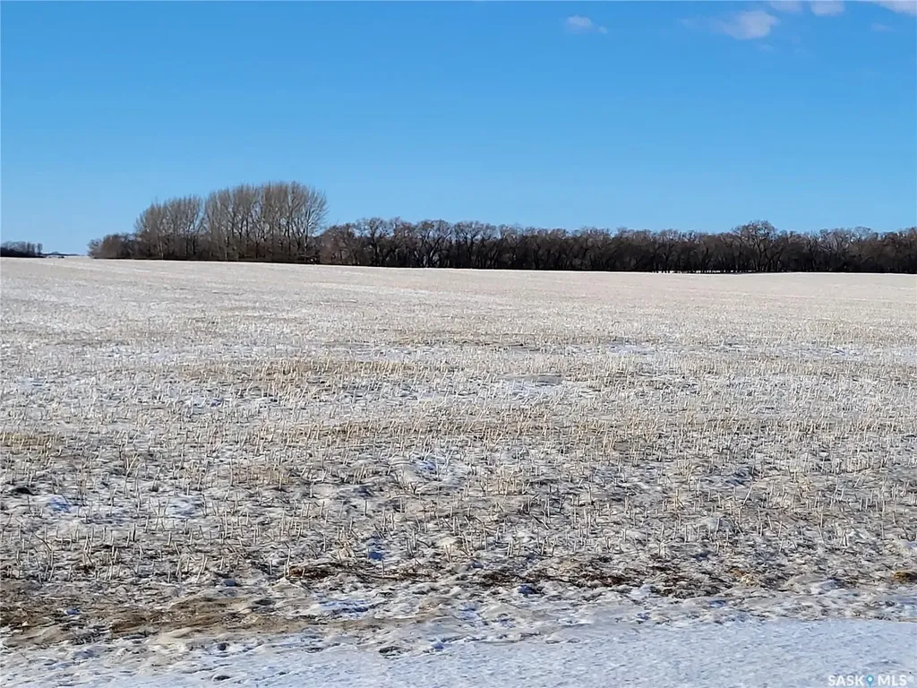 Rural Address Blucher Rm No. 343 SK S0K 0Y0