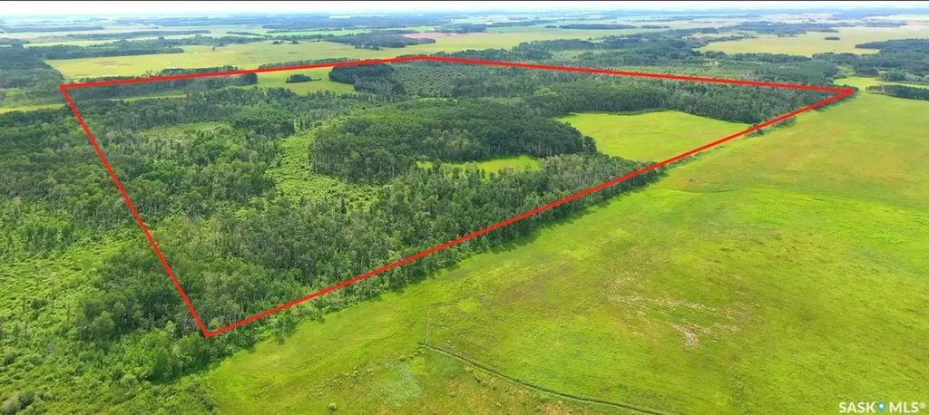 274 Rural Address Good Lake Rm No. 274 SK S0A 0L1