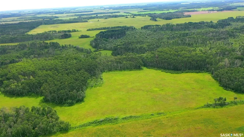 274 Rural Address Good Lake Rm No. 274 SK S0A 0L1