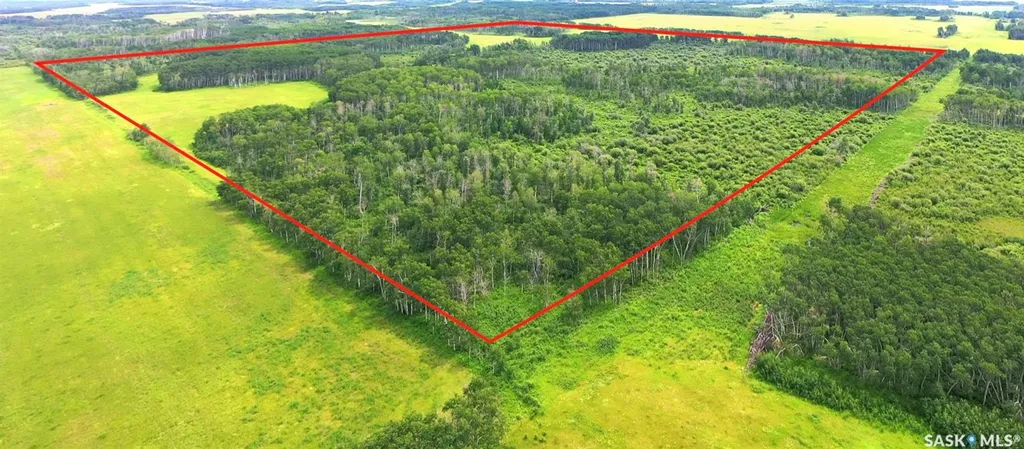 274 Rural Address Good Lake Rm No. 274 SK S0A 0L1