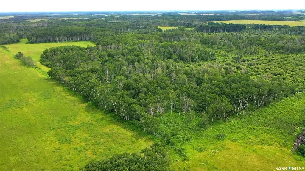 274 Rural Address Good Lake Rm No. 274 SK S0A 0L1