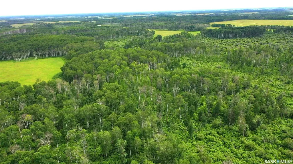 274 Rural Address Good Lake Rm No. 274 SK S0A 0L1